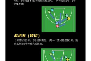  为什么篮球战术训练对球员发展如此重要？